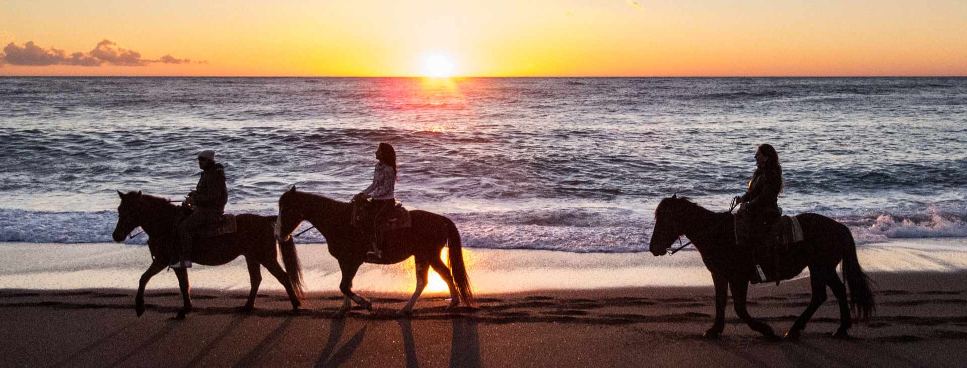 Passeggiata a cavallo