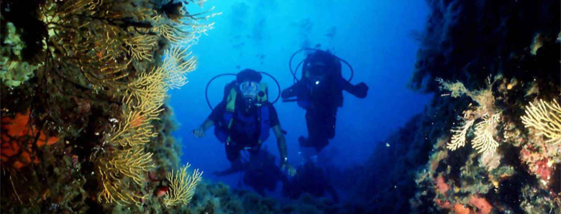 Immersioni isola Dino